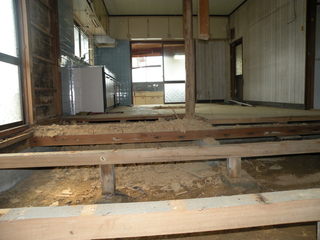DSCN8597.JPG