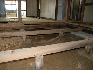 DSCN8598.JPG