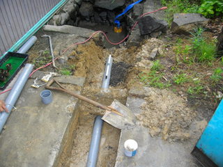 IMGP0377.JPG