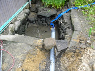 IMGP0380.JPG